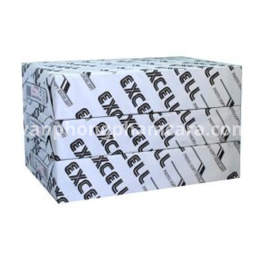 Giấy Excel A4 định lượng 80 gsm (TL)