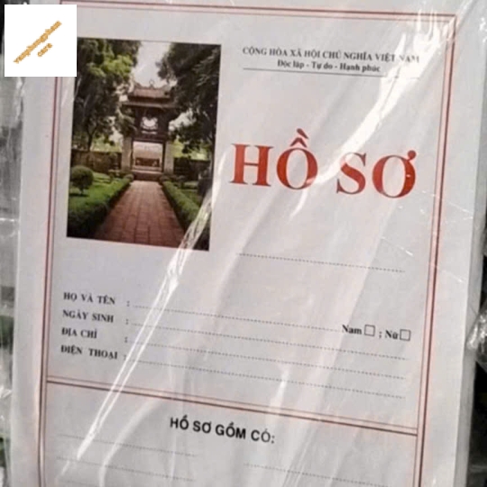 Bìa hồ sơ - loại thường 